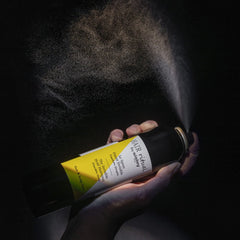 Spray Fixant Invisible