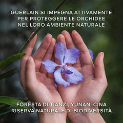 Guerlain Orchidée Impériale La Crème Légère de Longévité