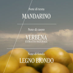L'Occitane Eau de Toilette Verbena Agrumi