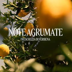 L'Occitane Gel Doccia Verbena Agrumi
