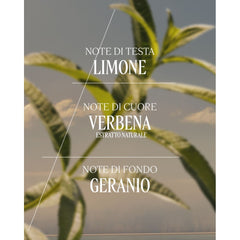 L'Occitane Cofanetto Corpo Verbena