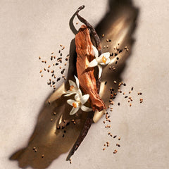 Zadig Eau de Parfum Refill