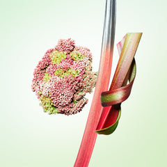Prada Infusions Rhubarbe