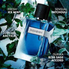 Yves Saint Laurent Y Iced Cologne Eau de Toilette Intense