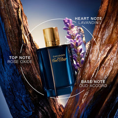 Davidoff Cool Elixir Uomo