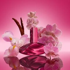 Calvin Klein Euphoria Magnetic Elixir Parfum Intense for Women