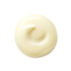 Shiseido Benefiance Wrinkle Smoothing Day Cream SPF25