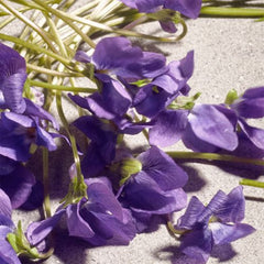 Dolce & Gabbana Dolce Violet Eau de Toilette