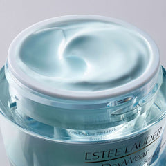 DayWear Anti-Oxidant 72H - Hydration Sorbet Creme SPF15