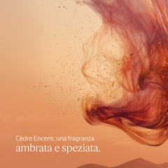 L'Occitane Deodorante Stick Cèdre Encens
