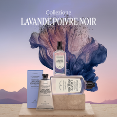 L'Occitane Lavande Poivre Noir Deo Roll On