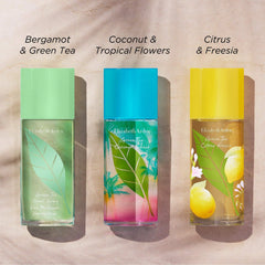 Elizabeth Arden Green Tea Coconut Breeze Eau de Toilette