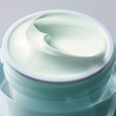 DayWear Multi-Protection Anti-Oxidant 24h Moisture Creme SPF15