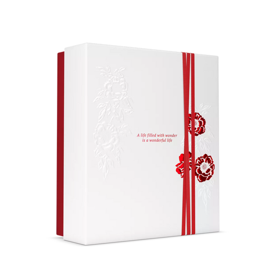 The Ritual of Ayurveda Medium Gift Set 2025