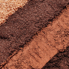 Phyto-Ombres Palette