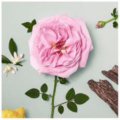 Chloé Eau de Parfum Naturelle