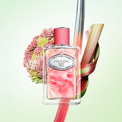 Les Infusions Rhubarbe 100 ml