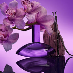 Calvin Klein Euphoria Bold Elixir Parfum Intense for Women