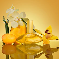 Calvin Klein Euphoria Solar Elixir Parfum Intense for Women