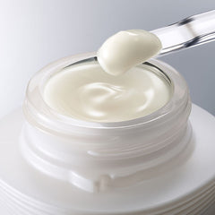 Sensai Absolute Silk Illuminative Cream