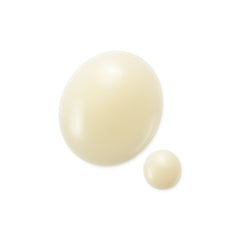 The Concentrate N Refill