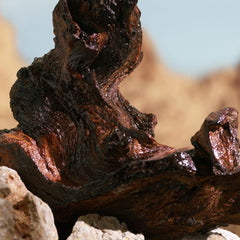 Dolce & Gabbana K Elixir