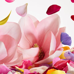 Dolce & Gabbana Dolce Magnolia Eau de Parfum