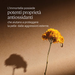L'Occitane Balsamo Occhi Immortelle Divine