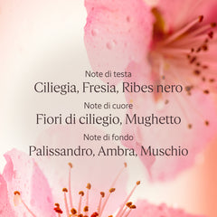 L'Occitane Crema Mani Fiori di Ciliegio - Fleurs de Cerisier