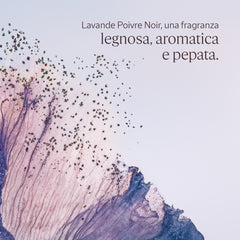 L'Occitane Lavande Poivre Noir Deo Roll On