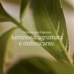 L'Occitane Sapone Liquido Karite Verbena