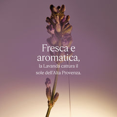 L'Occitane Sapone Solido Karite Lavanda