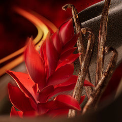 Ralph Lauren Polo Red Eau de Parfum Extreme