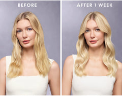 Moroccanoil Purple Treatment