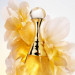 J’adore L’Or – Essenza di profumo - Dior