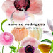 Cofanetto San Valentino for her eau de parfum 100ml - Narciso Rodriguez