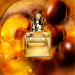 Scandal Pour Homme Absolu Parfum Concentré - Jean Paul Gaultier